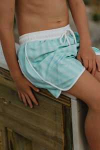INDIE BLUE SWIM Board Shorts (mint tonal stripe)