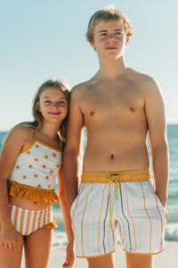 INDIE BLUE SWIM Men's Surf Shorts (color stripes)