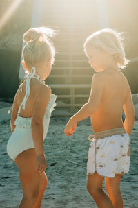 INDIE BLUE SWIM Board Shorts (ash sun)