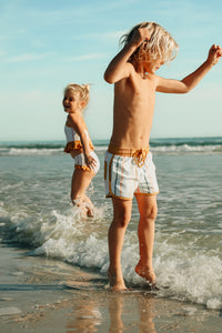 INDIE BLUE SWIM Tankini Set (color stripes)