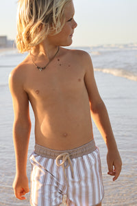 INDIE BLUE SWIM Board Shorts (ash stripe)