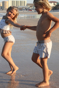 INDIE BLUE SWIM Board Shorts (ash stripe)