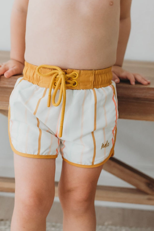 INDIE BLUE SWIM Surf Shorts (color stripes)
