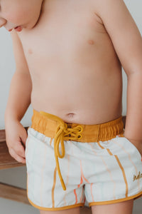 INDIE BLUE SWIM Surf Shorts (color stripes)