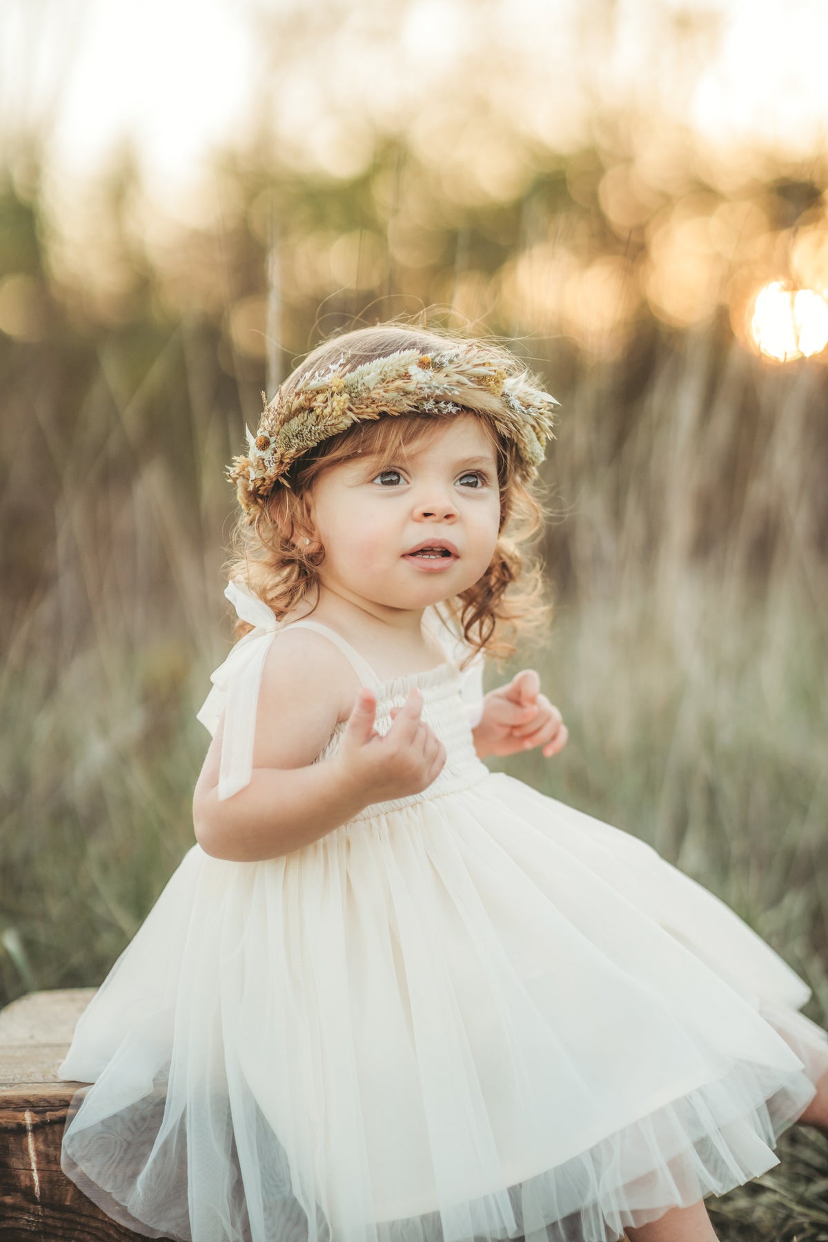 INDIE BLUE Dresses Isa Dress (antique ivory tulle)