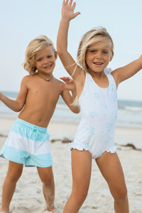 INDIE BLUE SWIM Board Shorts (sky wide stripe)