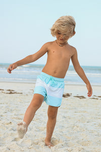 INDIE BLUE SWIM Board Shorts (sky wide stripe)
