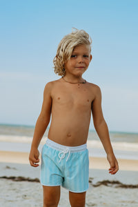 INDIE BLUE SWIM Board Shorts (mint tonal stripe)