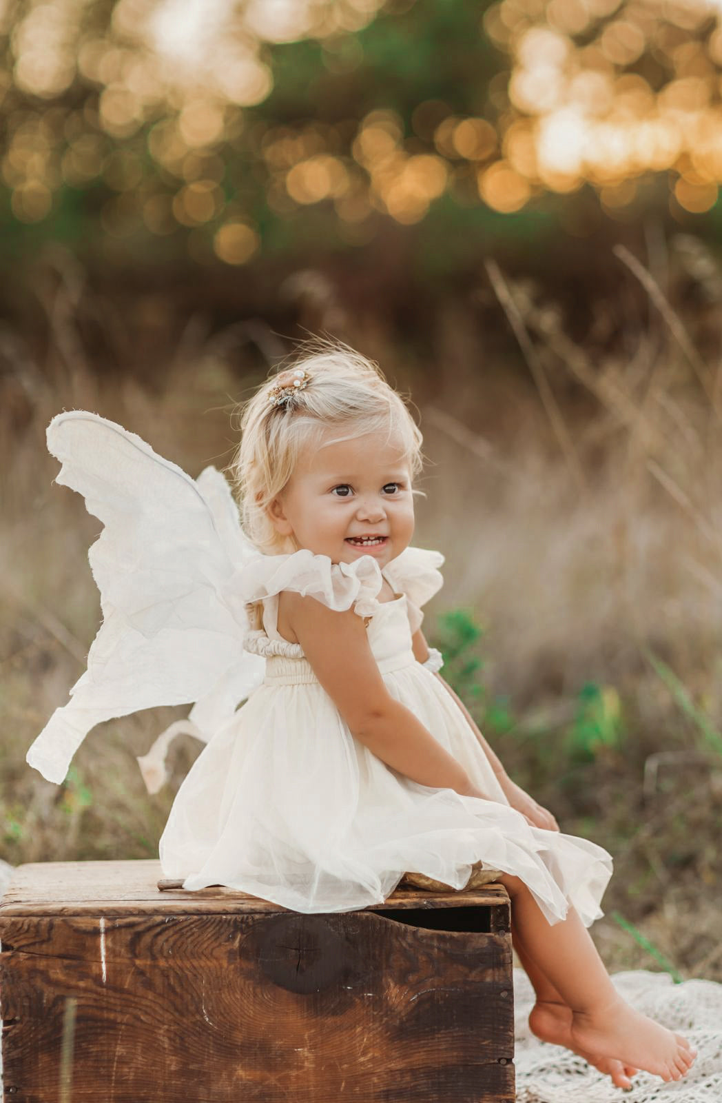 INDIE BLUE Dresses Fawn Dress (antique ivory tulle)
