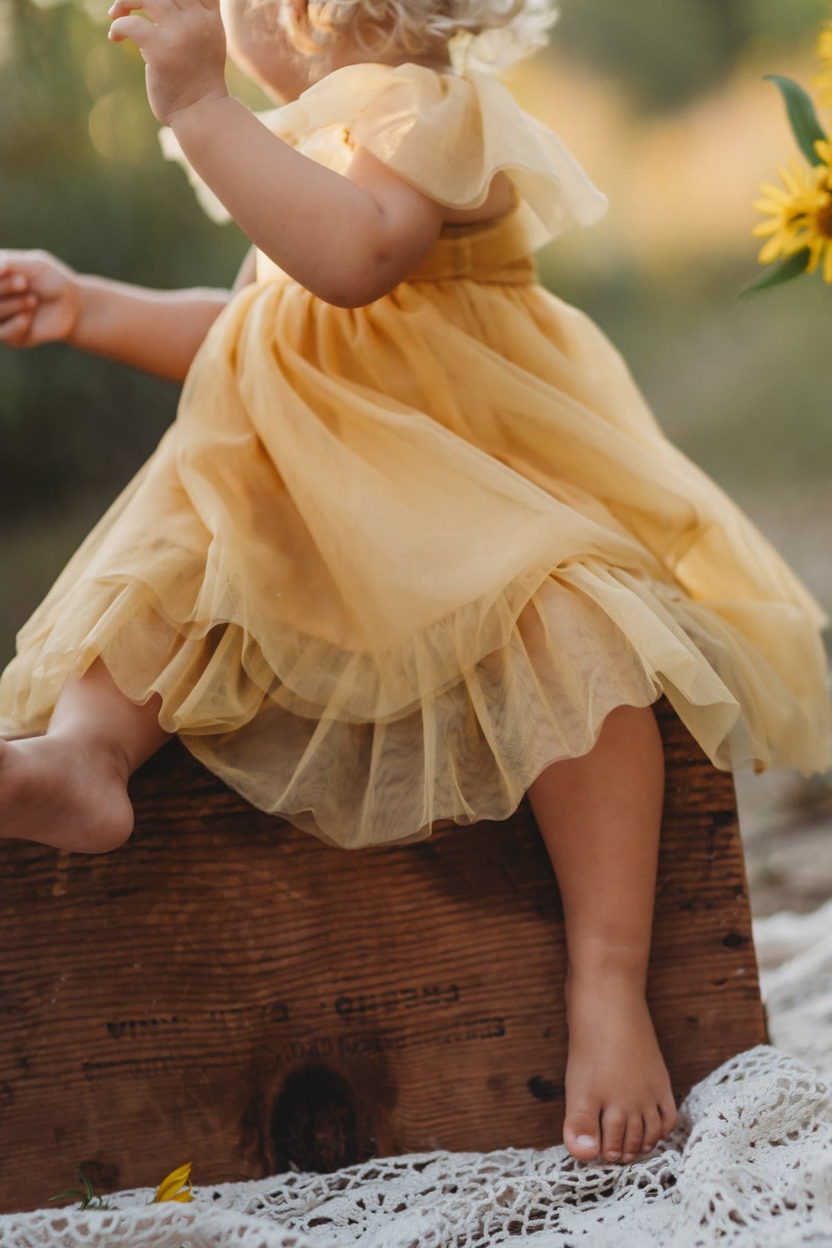 INDIE BLUE Dresses Fawn Dress (saffron tulle)