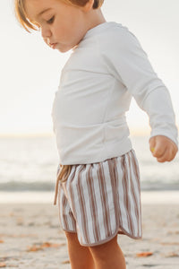INDIE BLUE SWIM Board Shorts (ash stripe)