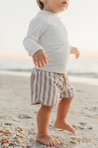 INDIE BLUE SWIM Board Shorts (ash stripe)