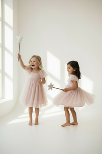 INDIE BLUE Dresses Fawn Dress (soft pink tulle)