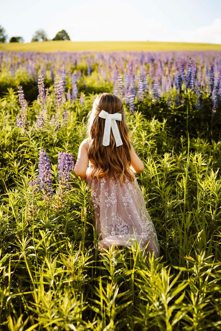 Fiona Lace Dress (lavender pink)