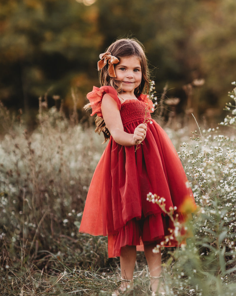 Juliet Tulle Dress (venetian red)