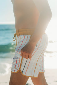 Surf Shorts (color stripes)