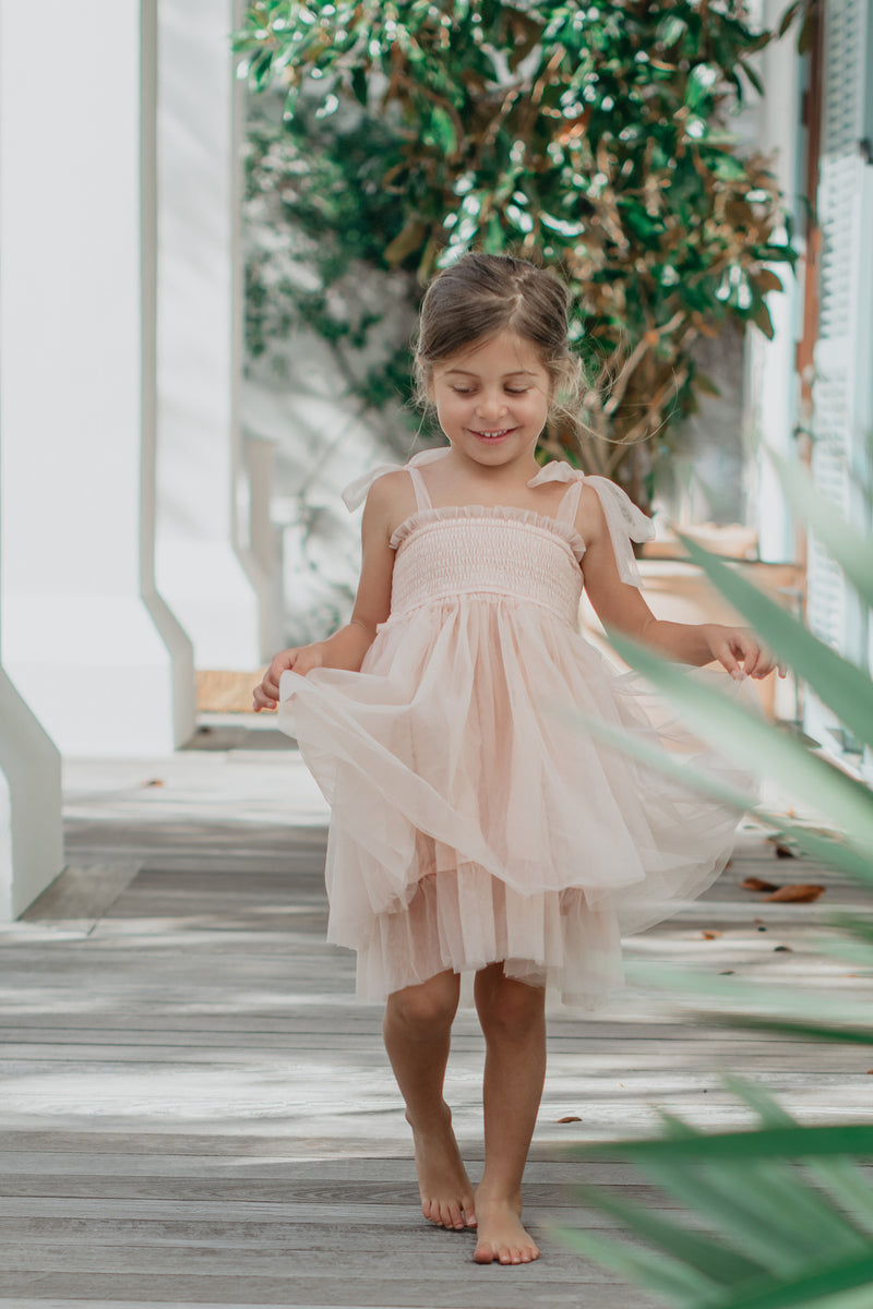 Isa Dress (blush tulle)