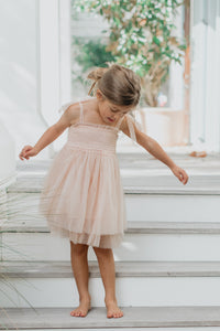 Isa Dress (blush tulle)