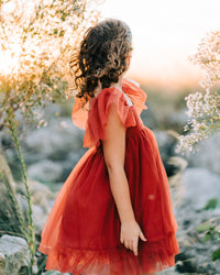 Fawn Dress (venetian red tulle) FINAL SALE