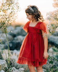 Fawn Dress (venetian red tulle) FINAL SALE