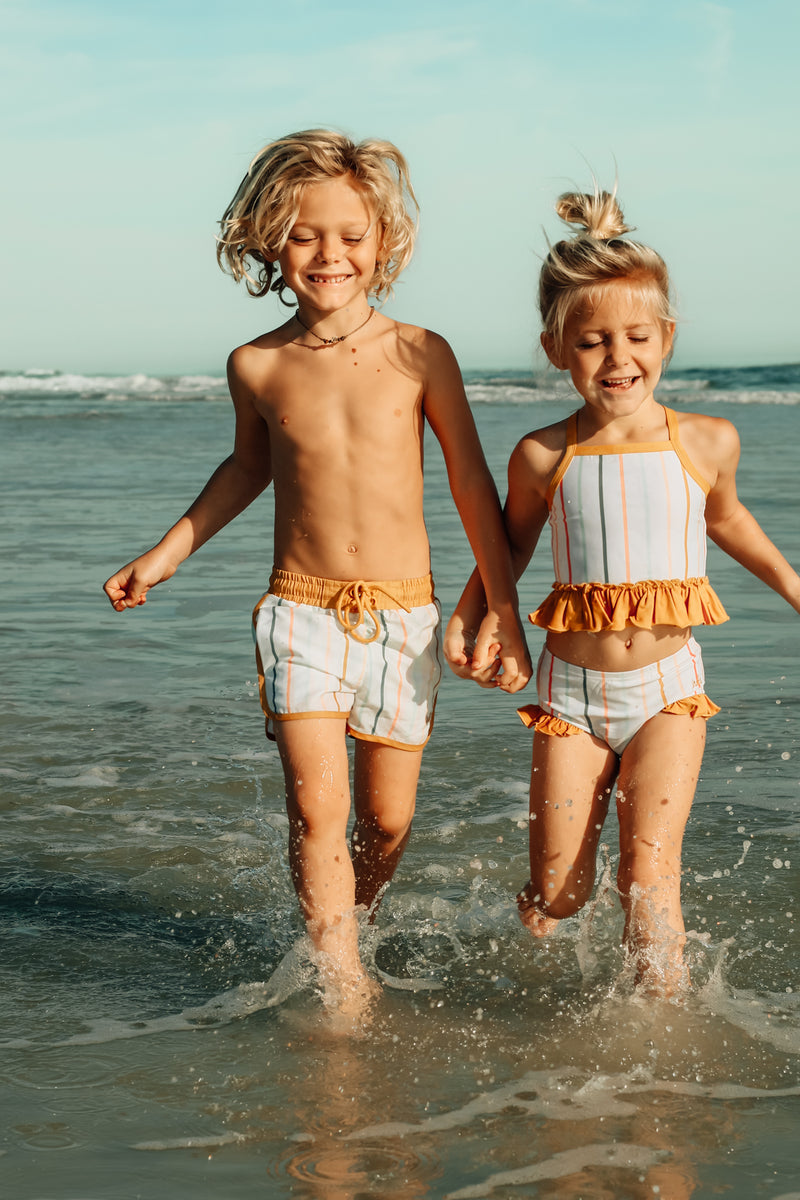 Surf Shorts (color stripes)