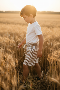 SS Boy's Bottoms Knox Shorts (birch stripe)