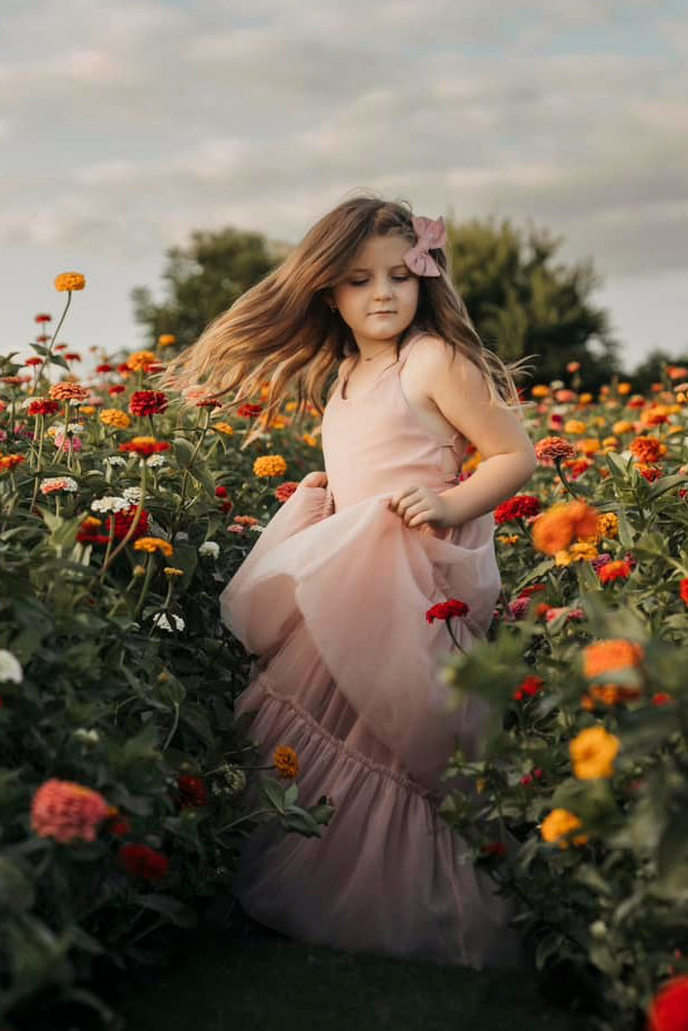 Wendy Dress (soft pink tulle)