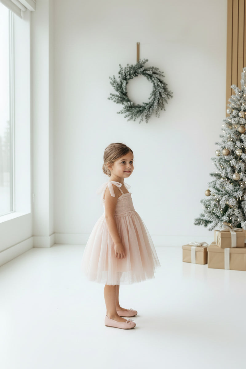 INDIE BLUE Dresses Isa Dress (blush tulle)