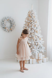 INDIE BLUE Dresses Isa Dress (blush tulle)