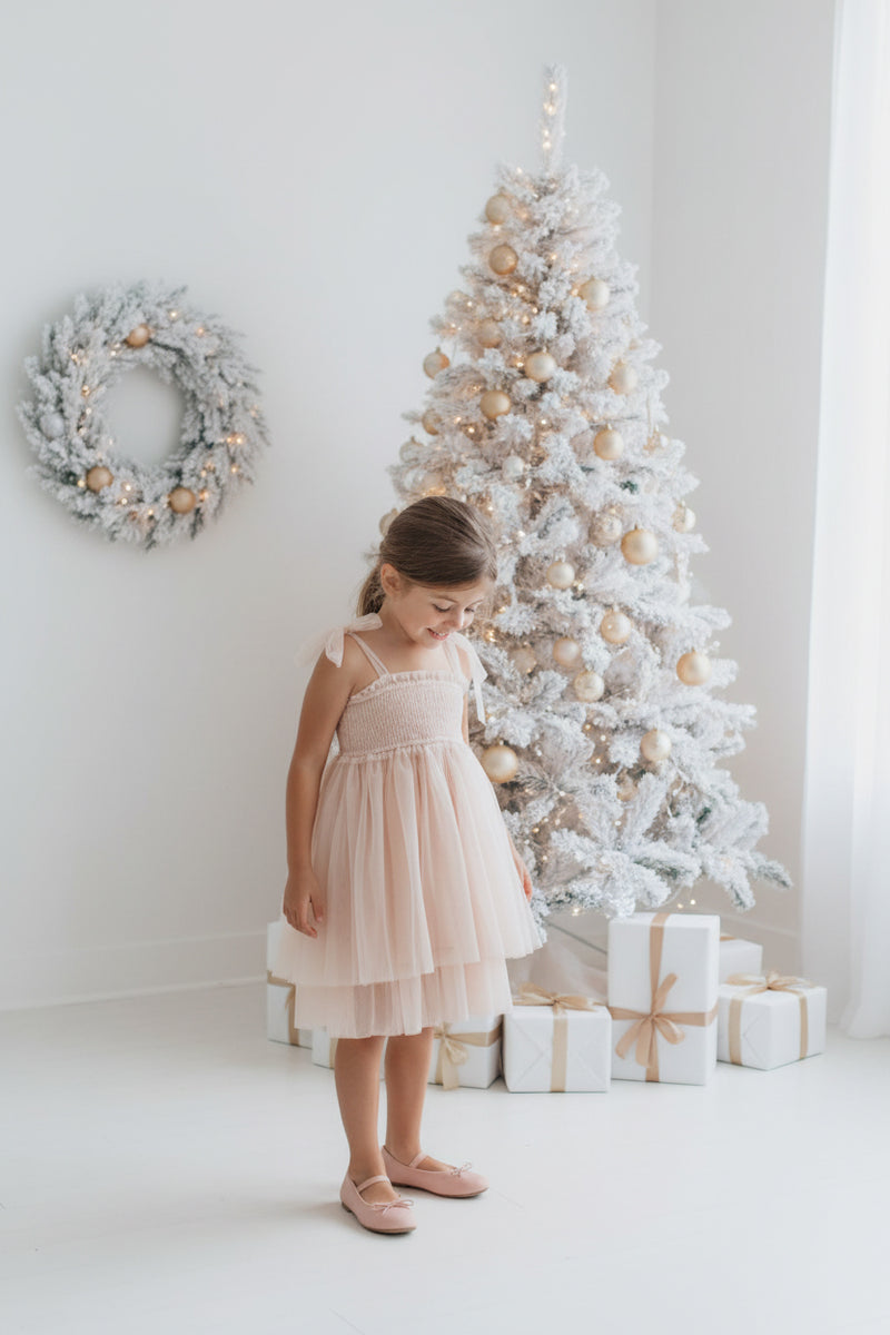 INDIE BLUE Dresses Isa Dress (blush tulle)