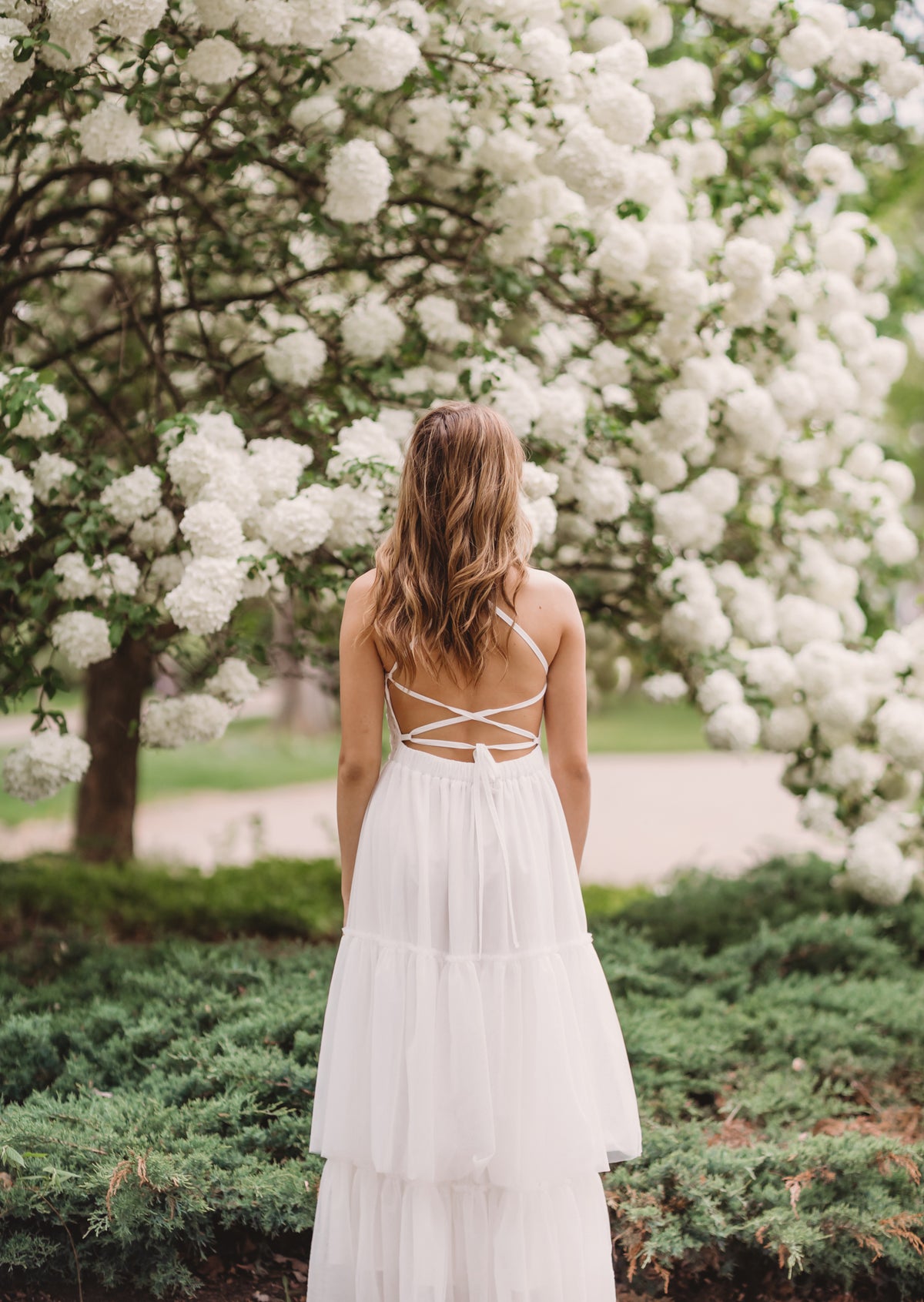 Women's Wendy Embroidered Tulle Dress (white)