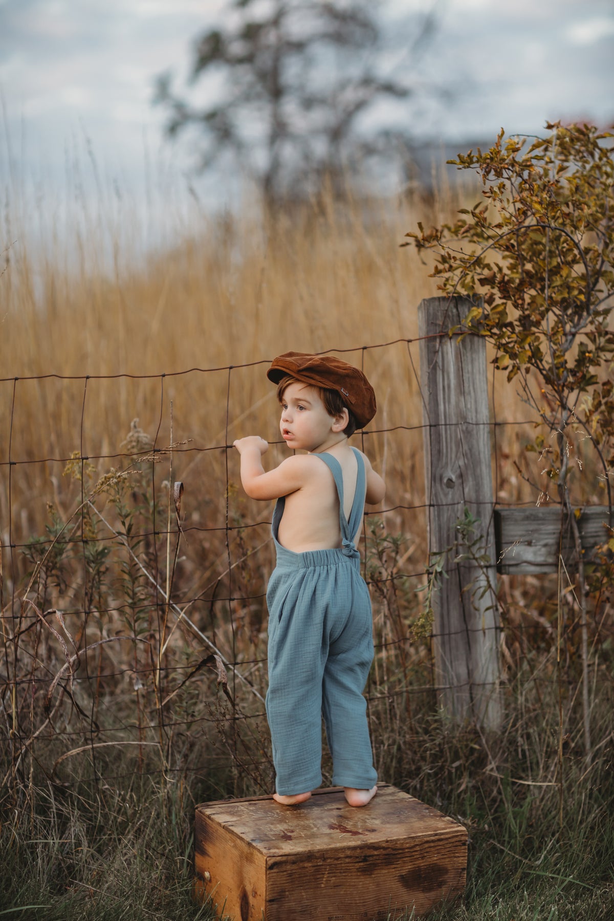 Grady Romper (cobalt muslin)