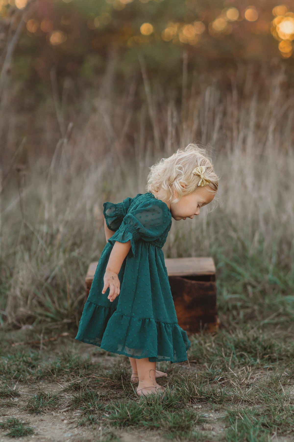 Celine Dress (cypress green swiss dot)