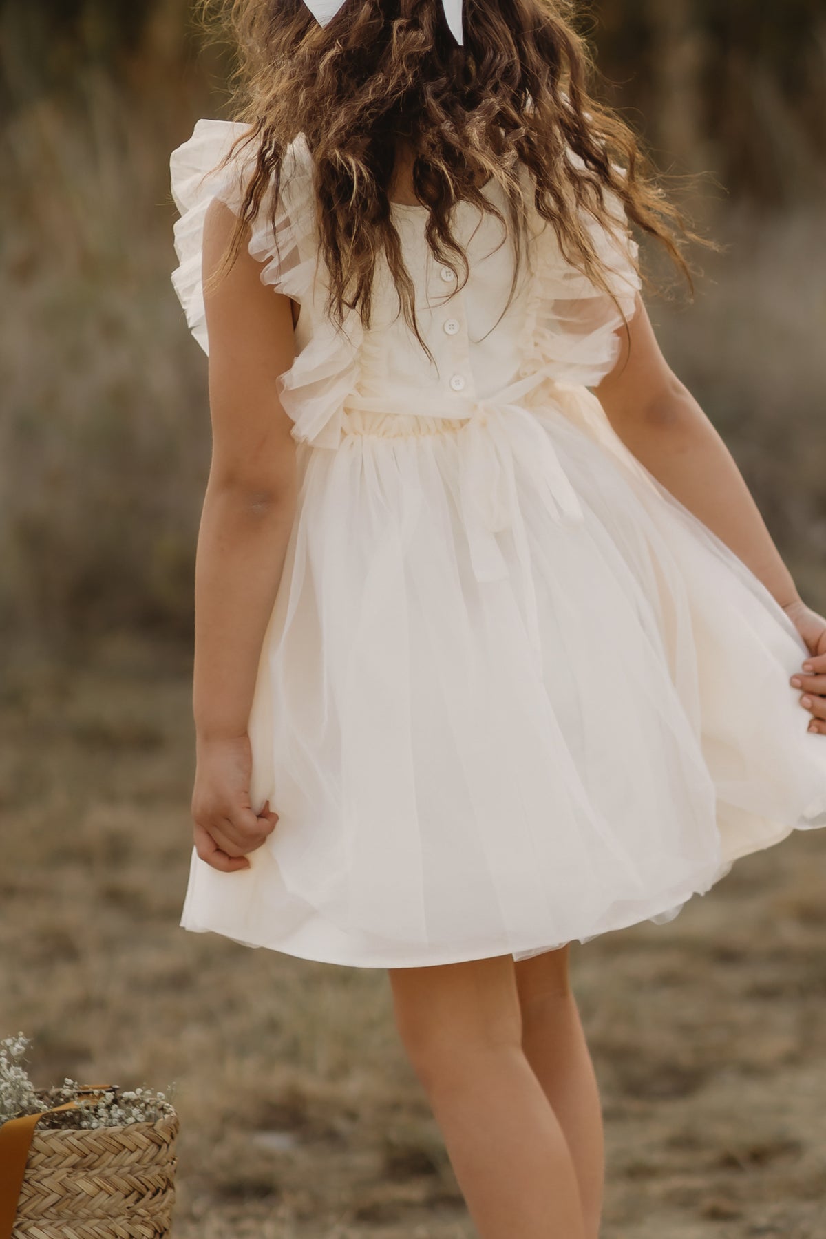 Kaitlyn Embroidered Tulle Dress (antique ivory)