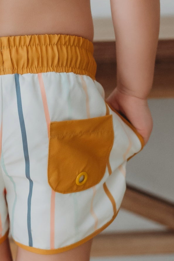 Surf Shorts (color stripes)