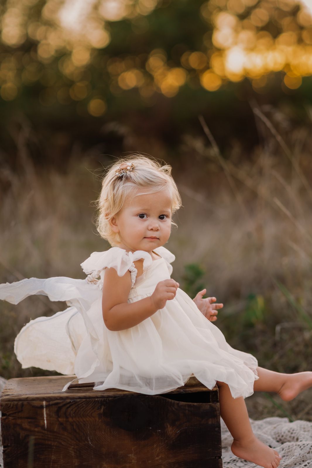 Fawn Tulle Dress (antique ivory)