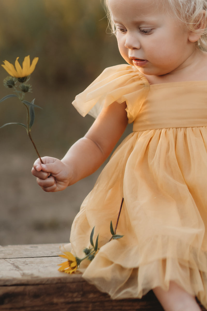 Fawn Tulle Dress (saffron)