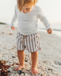 Board Shorts (ash stripe)