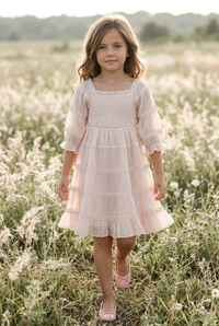 Karina Dress (soft pink chiffon)