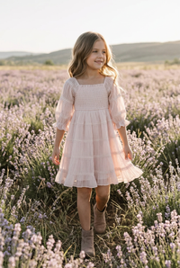 Karina Dress (soft pink chiffon)