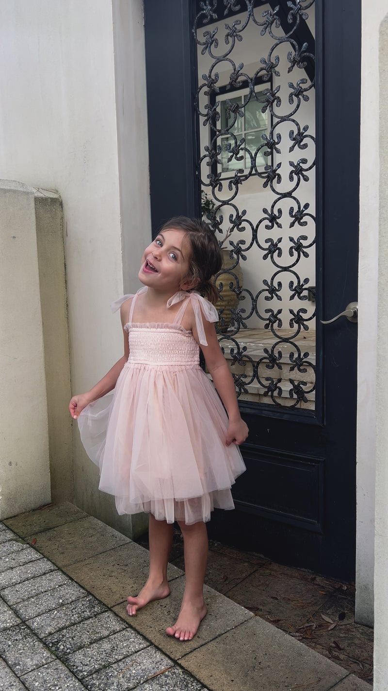 Isa Dress (blush tulle)