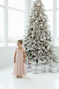 INDIE BLUE Dresses Marabella Dress (soft pink chiffon)