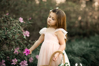 Juliet Dress (blush tulle)